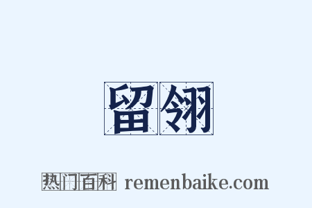 留翎是什么意思的图片